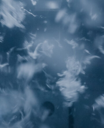 The Arrival of High-Quality Denim: Elevating Your Every Day