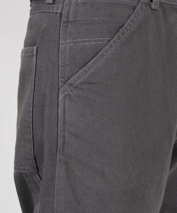 Organic Drill Painter Pants,NATURAL, large image number 5